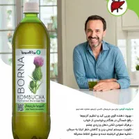کامبوچا درمان لاغری،کبد چرب،قند خون، سنگ کلیه