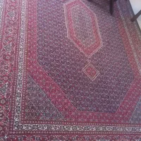 فرش|فرش|کرمانشاه, |دیوار