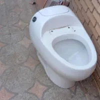 توالا فرنگی