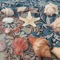 صدف دریای خلیج فارس