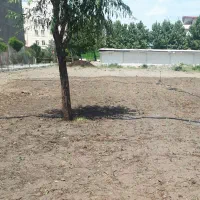 ورکشاپ مجازی تغذیه در بحران