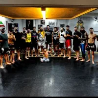 آموزش هنرهای رزمی ترکیبی MMA