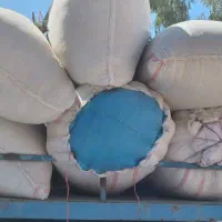 کاه|لوازم جانبی حیوانات|مسجد سلیمان, |دیوار