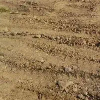 زمین مسکونی واقع در خوجین