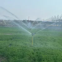یونجه خشک پرس شده