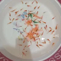 ماهی جوان ، سرحال