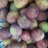 انجیر|خوردنی و آشامیدنی|صحنه, |دیوار