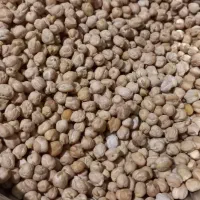 نخود|خوردنی و آشامیدنی|بهار, |دیوار