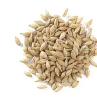 جو محلی