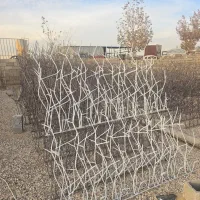 حفاظ ارتفاع کوتاه و بلند نرده دزدگیر ساختمان