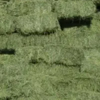 پرس یونجه وکاه علف