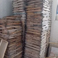 زنبور عسل