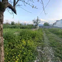 620مترمسکونی/زیده/آلیان/ماکلوان/قابل تفکیک