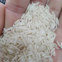 برنج هاشمی