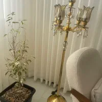 آباجور ایستاده