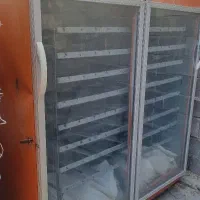 دستگاه جوجه کشی تمان اتوماتیک