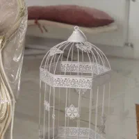 قفس