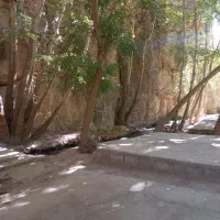 همسفر برای کنسرت بجنورد