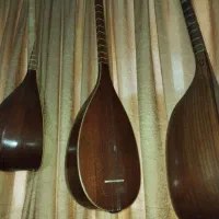 تنبور استاد براخانی|سازهای سنتی|آمل, |دیوار