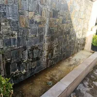 همکار طبیعت گردی.پر انرژی