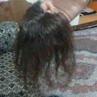 کلاه گیس
