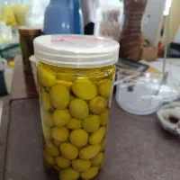 زیتون رویال درشت طارم زنجان