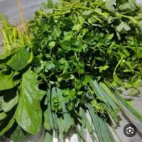 فروش انواع سبزی