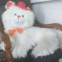 عروسک