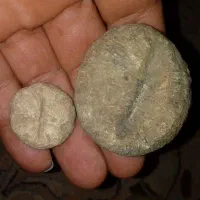 جفت مهره خوشانسی