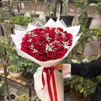 نیازمند همکار خانم