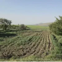 یک قطعه زمین با کاربری مسکونی
