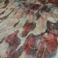 پار‌چه مجلسی نگین اصلی