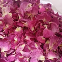 گل محمدی|خوردنی و آشامیدنی|مشهد, مقصود آباد|دیوار