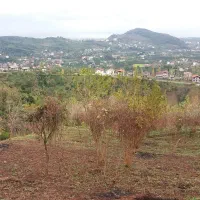 فروش-یک-قطعه-زمین-در-رامسر