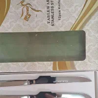 چاقوی استیل میوه خوری بسته ۱۲ عددی