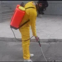 سمپاشی (موریانه زدایی)ساس سوسک مارعقرب مارمولک