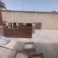 کابینت|مصالح و تجهیزات ساختمان|بم, |دیوار