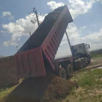 کودمرغ|گل و گیاه طبیعی|میلاجرد, |دیوار