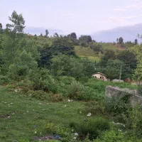 فروش زمین ۳۳۰متری اطاقور