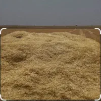 کاه گندم نرم تحویل دامداری