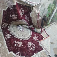 فرش نگین مشهد 6متری سالم