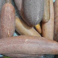 ترش خیار کیلویی۲۰