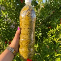 برگ مو|خوردنی و آشامیدنی|ارومیه, |دیوار