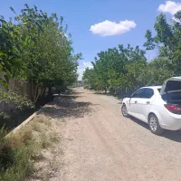 باغچه-550متری