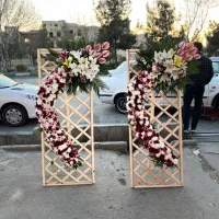 گل طبیعی|گل و گیاه طبیعی|قم, انسجام|دیوار
