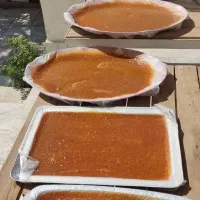 لواشک طبیعی باغی محصول باغات دماوند