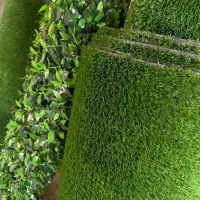 مرکز پخش چمن و فنس چمنی