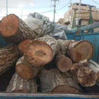 خرید چوب باغی .هرس درخت. برش چوب .