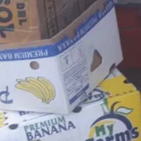 کارتن موزی سالم و تمیز با کفی و درپوش