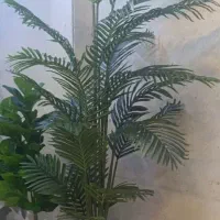 درخچه مصنوعی اریکا خارجی